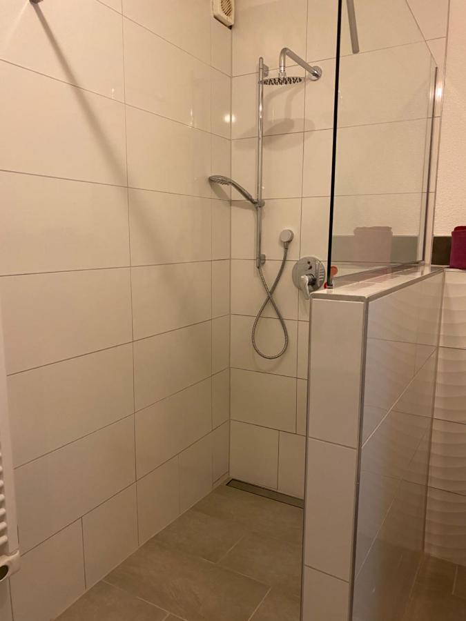 Fewo Dana Appartamento Neckarsteinach Esterno foto