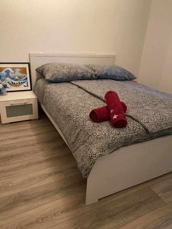 Fewo Dana Appartamento Neckarsteinach Esterno foto
