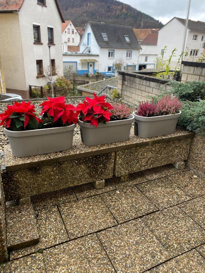 Fewo Dana Appartamento Neckarsteinach Esterno foto