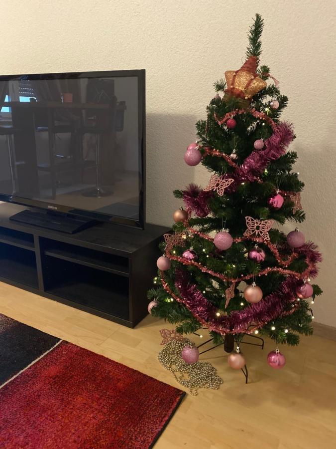 Fewo Dana Appartamento Neckarsteinach Esterno foto